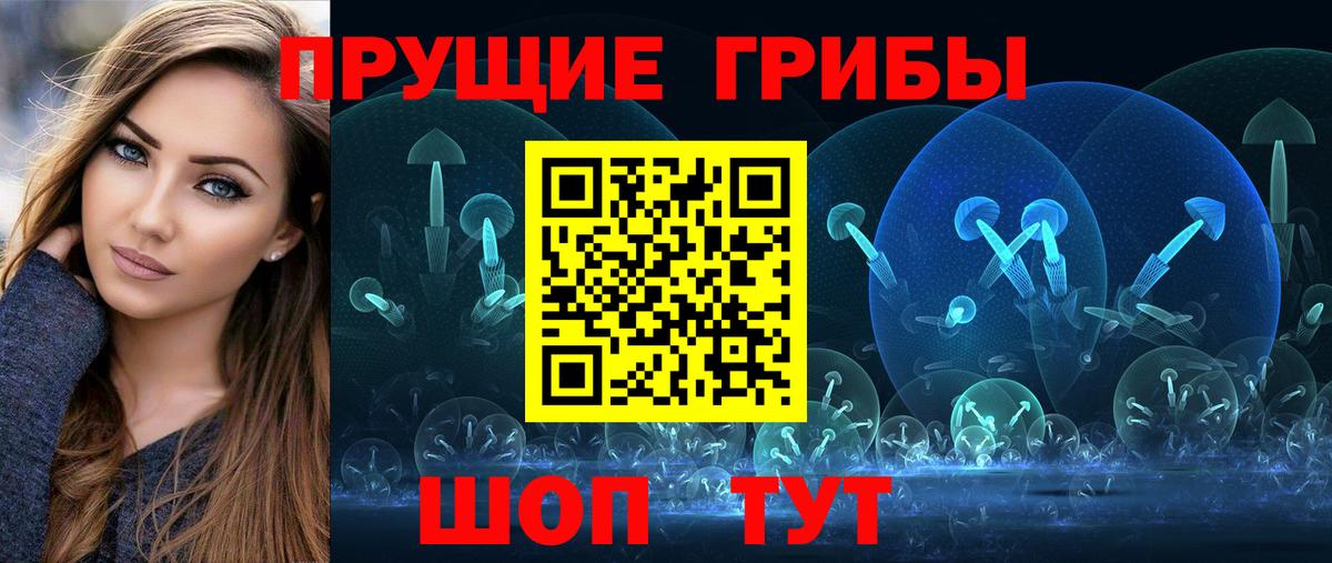 Галлюциногенные грибы Psilocybe  Вход с VPN  Галлюциногенные грибы мухоморы  Новомосковск 